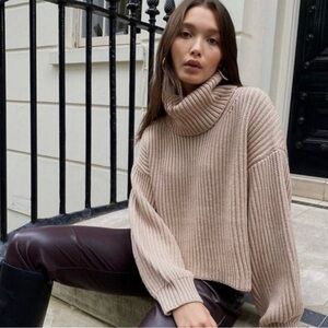 Aritzia Babaton Guell Turtleneck Sweater